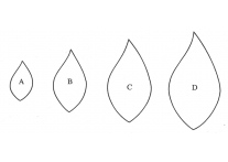 leaf set of 4 - 362